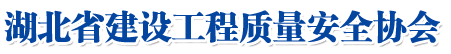 湖北省拉斯维加斯9888质量安全协会